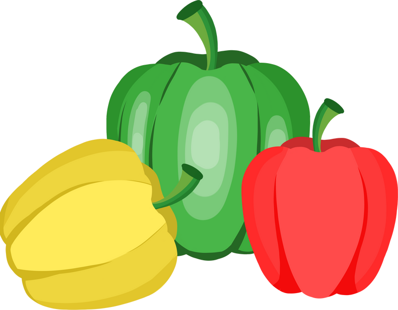 fresh  bell pepper vegetable illustration