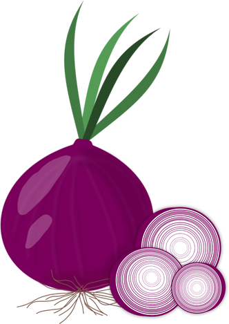 Red Onions Illustration